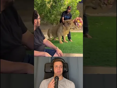 Lion Surprising Humans - By uae_lionking