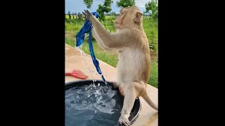 Look At Smart Shally Washing Cloths