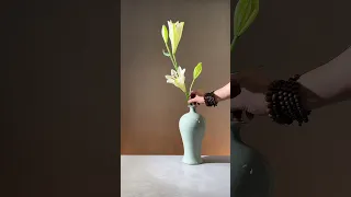 绚丽韵幽蝴蝶兰，雍容华贵叶妍姗。