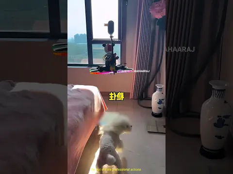 The Panda Drone Solved the Case… Then Got Scolded Through a Speaker!