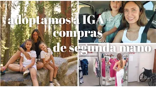 HAUL de Segunda Mano, adoptamos a IGA  y profesoras por un día. | VLOG
