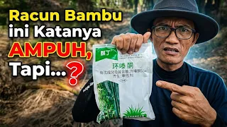 Racun Untuk Membasmi Rumpun Bambu