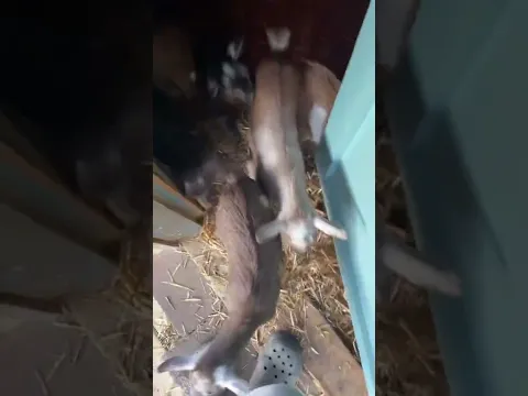 Lo mejor que verás hoy..