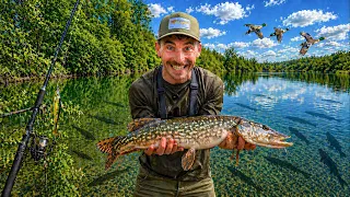Je pêche des BROCHETS complètements FOUS dans ce LAC ! (Ouverture carnassier 2026)