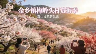 中国最美梅花山曝光！满山梅花盛开，游客挤满山头赏花实拍#梅花#梅花季#赏花#乡村风景#自然风光#花海#山间风景#治愈风景#风景记录#旅行风景