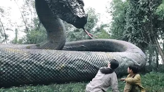 【高光合集】远古生物复活，男孩在荒岛冒险竟见证龙蛇之战！【大蛇3龙蛇之战 Snake3】 | 惊悚/冒险 | 经典大本营