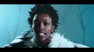 Nel Ngabo & Platini P - A la vie (Official Video)