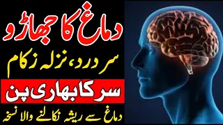 Dimagh Ki Safai || Balgham Resha Ka iLaj || Sar Dard Nazla Zukam Ka iLaj  ||  دماغ کا جھاڑو