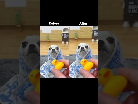 Before vs After 🧐#beforeandafter #tutorial #shorts