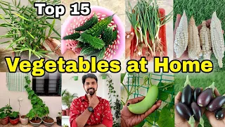 15 Easy Vegetables you can grow at Home | Small space kitchen garden at home