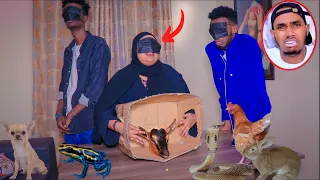 GARO WAXA KU JIRA BOXKA PART 3\SAMIXA WAXEEGU FULAYNIMO WUU DHAAFAY