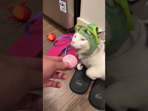 До конца 😂 смех до слез