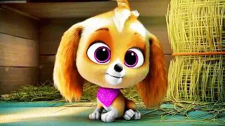Skye Origin Scene | PAW PATROL: THE MIGHTY MOVIE (2023) Movie CLIP HD