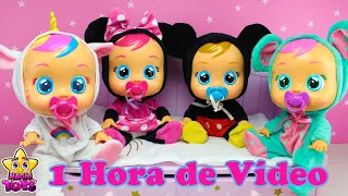 1 HORA de MEJORES VÍDEOS de 🌈BEBÉS LLORONES Lágrimas Mágicas🌈 - Capítulos Completos