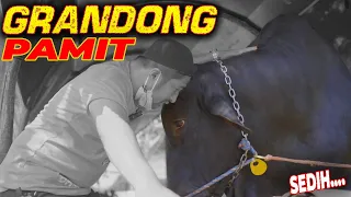 SEMUA TERCEKAT MELIHAT KEPERGIAN GRANDONG.SAMPAI JUMPA LAGI YAA..DI AKHIRAT KELAK, AAMIIN..