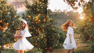 6 Outdoor Photography orange orchard idea.🍊📷