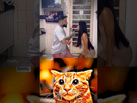 give this video title (warning answer) #cat #meme #dance #trending