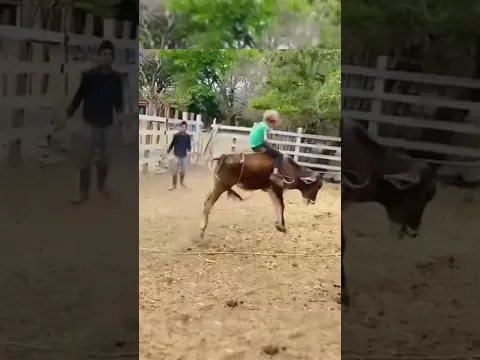 Niño Pelo de Oro // 7 años de edad 🤠🇭🇳 gran jinete #viral #fypシ #jaripeo #ganaderias #niño #top
