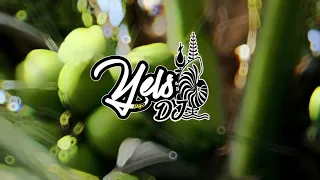 DJ YELS X JARO LOCA X EVIN RUSH _Mere [REMIX-ZOUK]SVNR