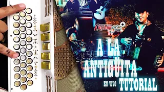 A la antigüita acordeon (Con adornos) Calibre 50
