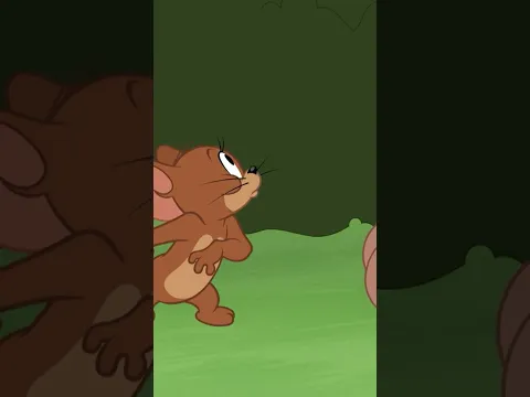 Tom and Jerry meet a prehistoric cave cat!   Watch the chaos unfold! #TomAndJerry #fan #chatnoir
