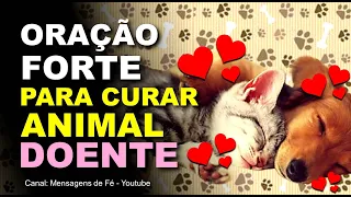 Oração Forte para curar animal de estimação doente