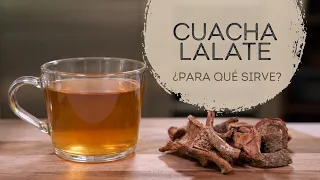 Cuachalalate | La corteza medicinal que los doctores no quieren que sepas