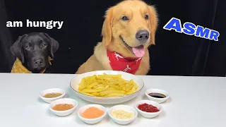 Golden and Labrador dogs happily review the fries with different sauces