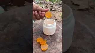 ❇️Survival skills  smart and useful ideas in the forest