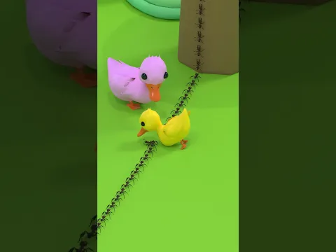 Kindness Behavior Of Baby Duck (Animation Memes) #animation #shots #memes