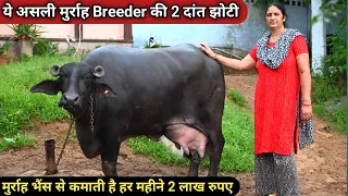 🏆ये है असली मुर्राह Breeder एक महीला डेयरी किसान कृष्णा जी दूध बेचकर कमाती है हर महीने 2 लाख रुपए.👍