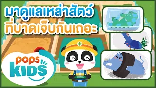 มาดูแลเหล่าสัตว์ที่บาดเจ็บกันเถอะ เกมเบบี้บัส Baby Panda Care for animals