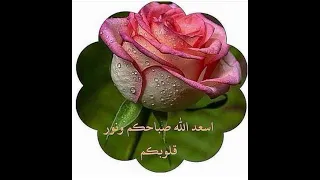 بث مباشر اسماء سيف اسعد الله صباحكم بكل خير وسعادة 🌹🌹