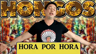 Efectos de Los Hongos Hora por Hora