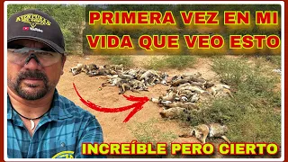 AVENTURA 395 BUSCANDO MIGRANTES NECESITADOS ME ENCUENTRO CON ESTO??? No puedo creerlo