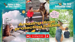 🐶Babysitter Dogs 💕 Protecting Babies!!👶#baby #dog