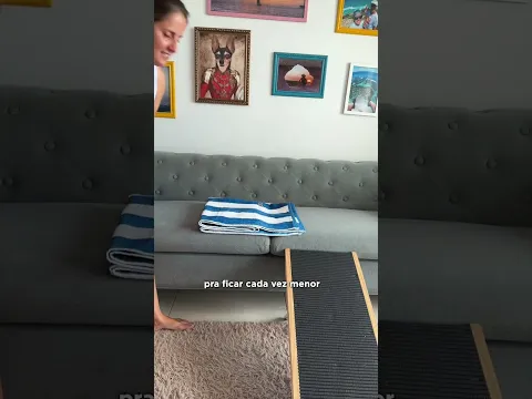 MEU CACHORRO SÓ SENTA NO PANINHO - ZORRO