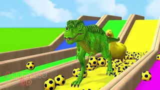 Rainbow Slide Party with Tiger, Lion and Elephant