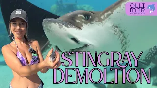 🎣🐟Fishing Abenteuer auf Gran Canaria: Zwei Girls, vier Tage Angeln!🎣🐟Tag 1 Stingray Abriss!