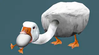 HONK - Reversed (Cyriak Video)