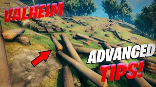 Valheim Advanced Tips and Tricks   Don't Survive   Dominate