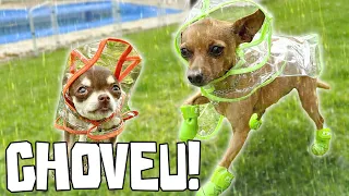 DIA DE CHUVA E NINGUÉM SE MOLHOU!