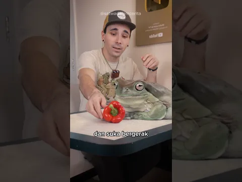Katak Jadi Idola🐸