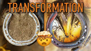 SATISFYING ASMR HOOF RESTORATION! FARRIER WORK