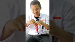 Nyobain Semua Jenis Es Krim 🍨Kumpulan Video Shorts Cinta Subakti Part 13