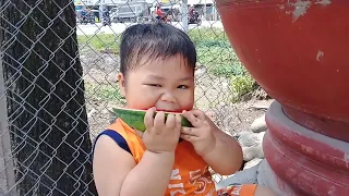 Trò Chơi Bạn Pin Ăn Trái Cây  Dưa Hấu   ❤ PinPin TV  ToysReview ❤  Fun  Song Vui Vẻ