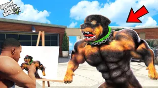 GTA 5 : CHOP BECOMES MOST STRONGEST DOG IN GTA V