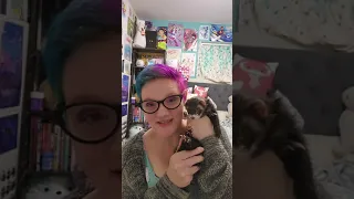 Why You Shouldn't Get A Ferret