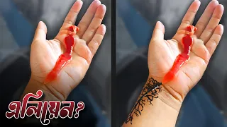 রহস্যময় রিবন ওয়ার্ম | সামুদ্রিক জীবের বিস্ময়!