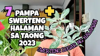 TOP 7 LUCKY PLANTS FOR 2023🪴🍀 + LUCKY & UNLUCKY ANIMAL ZODIAC SIGNS 🐇 🐅🐷🐕‍🦺